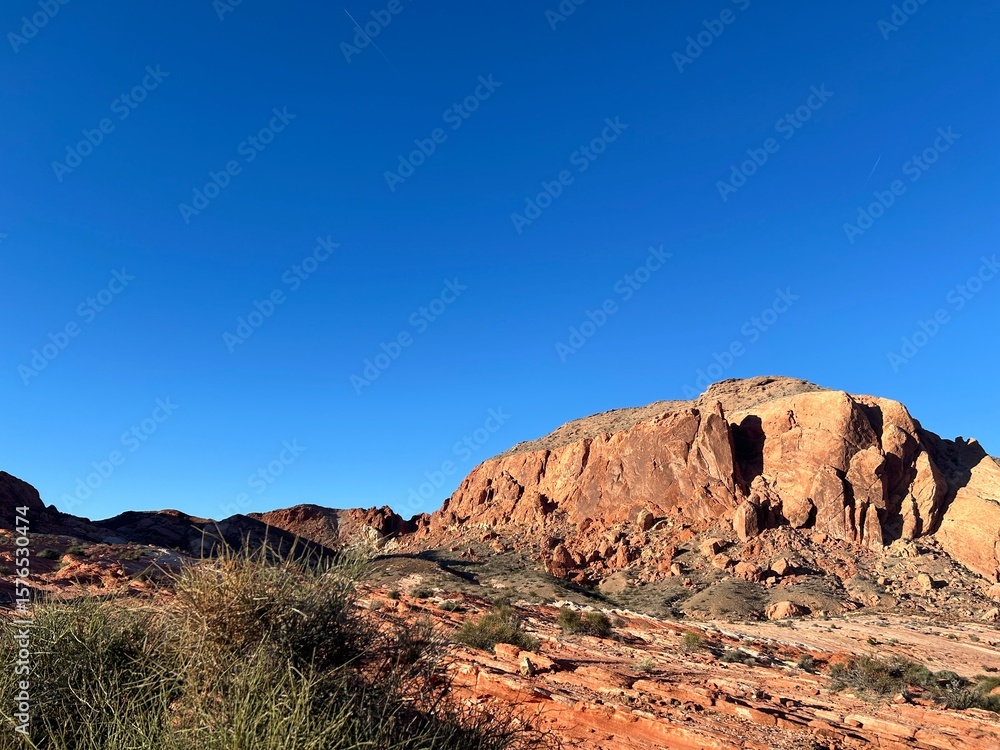 Fototapeta premium red rock canyon