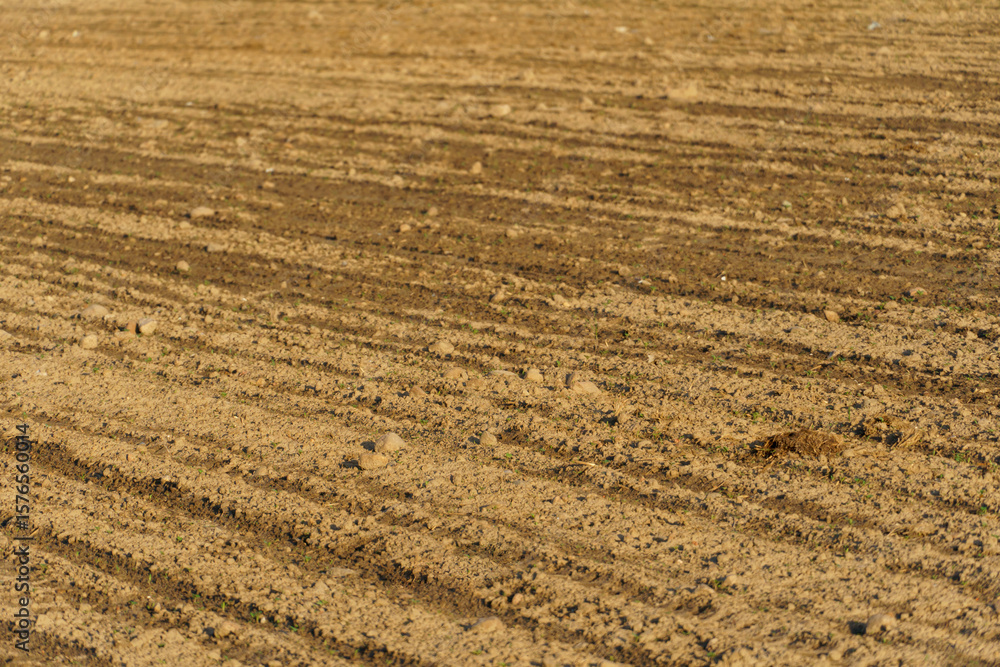 Rows of soil before planting. Drawing of furrows on a plowed field prepared for spring sowing of agricultural crops. View of the land prepared for planting and growing crops. Rows of soil before planting. Drawing of furrows on a plowed field prepared for spring sowing of agricultural crops. View of the land prepared for planting and growing crops.