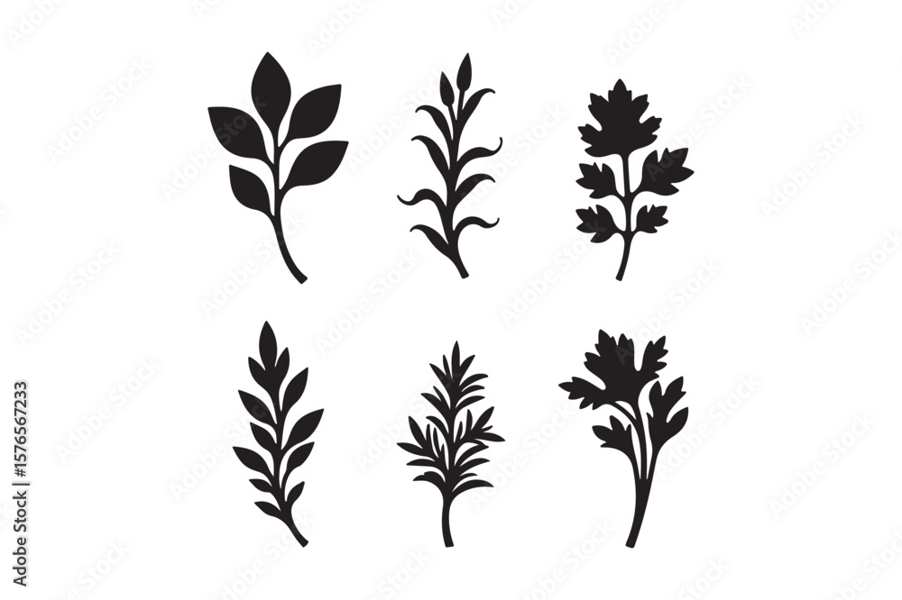 Fototapeta premium Collection of six stylized black leaf and branch silhouettes on a white background
