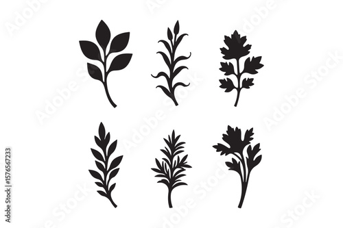Collection of six stylized black leaf and branch silhouettes on a white background