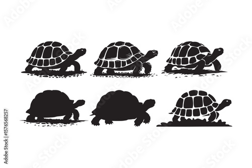 Collection of six black silhouette tortoises in various poses