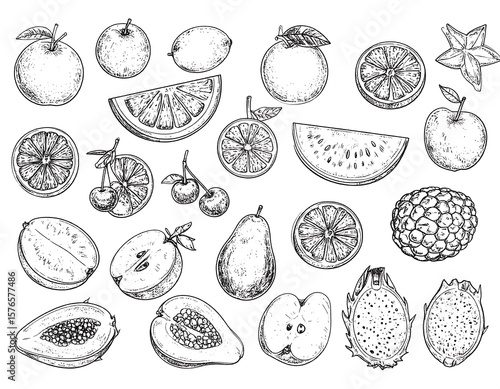 Hand-drawn fruit slices and whole fruits