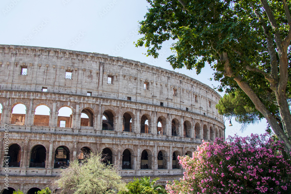 Obraz premium Colosseum in Rome Framed by Trees and Flowers on Sunny Day. Panoramic view of Colosseum in Rome, Italy with blooming trees and clear sky on a sunny summer day