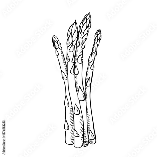 A detailed hand-drawn carto...