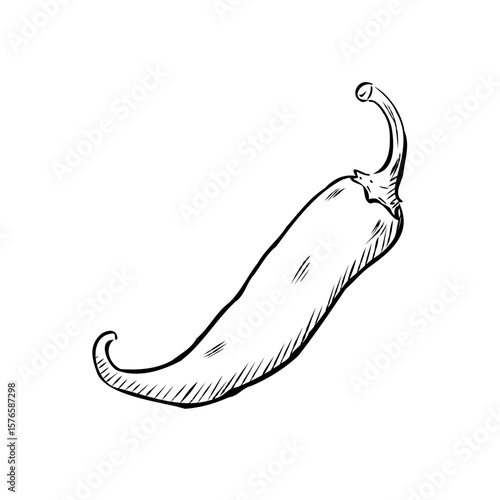 A fun, hand drawn cartoon v...