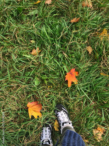 Wallpaper Mural A pair of black sneakers on green grass with fallen orange and yellow leaves scattered around. The scene captures the essence of autumn. Torontodigital.ca