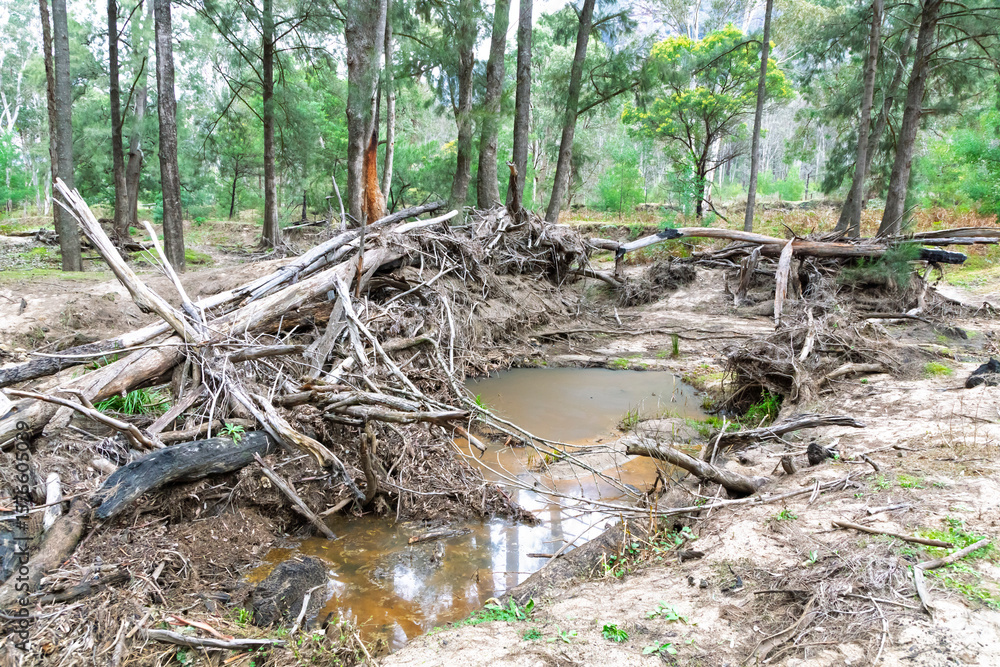 Fototapeta premium Photograph of severe flood damage along the Capertee River in the Capertee Valley in the Wollemi National Park in NSW, Australia.