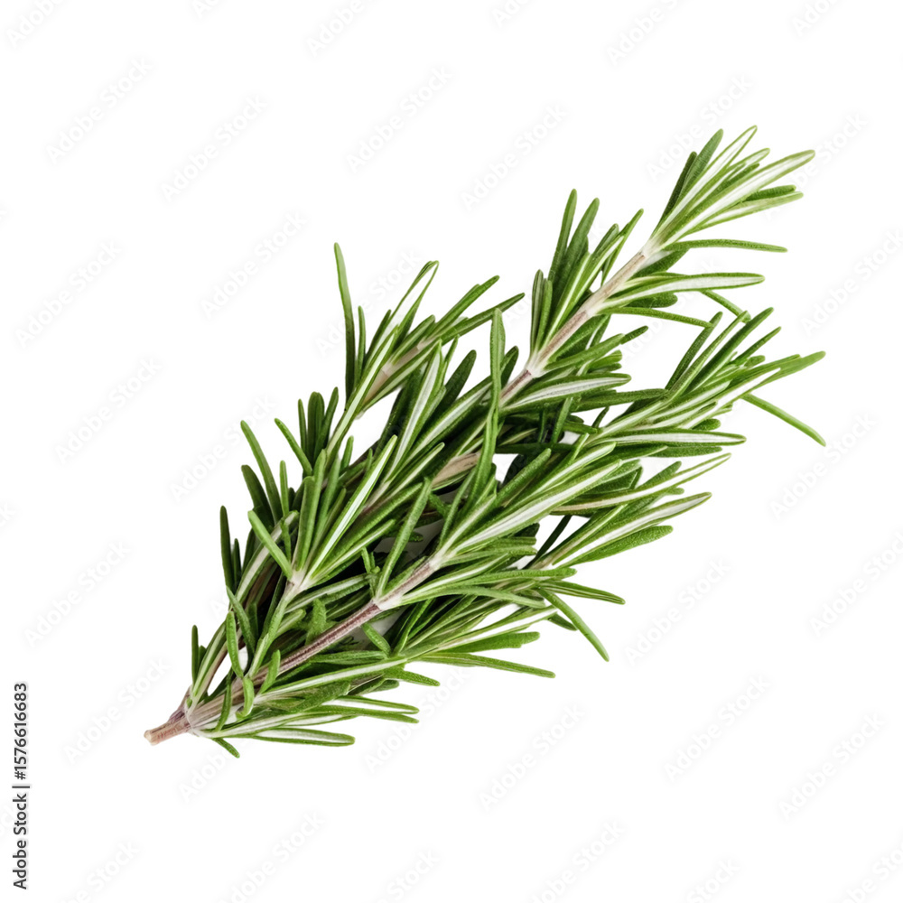 Fototapeta premium Rosemary isolated on white background, Top view, generative ai.