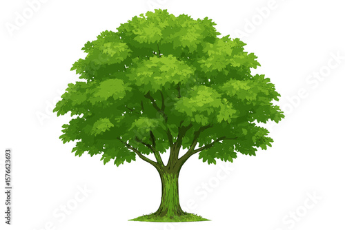 Large Green Tree with Lush Leaves, Natural Plant Illustration, Transparent PNG and Vector Graphic, Nature Botanical Element for Design and Decoration