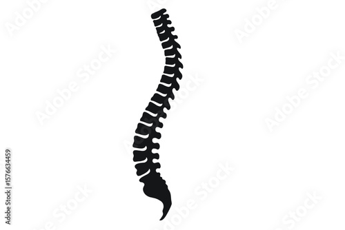Human Spine Silhouette Vector Illustration. Spine Pain, Medical Center, Clinic, Rehabilitation, Diagnostic, Surgery, Orthopedic, Chiropractic, Spinal Health, Anatomy Concept Icon