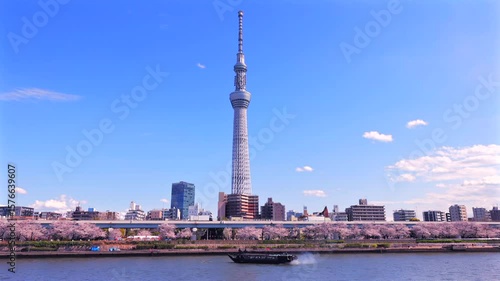 満開の桜の隅田川　東京春風景