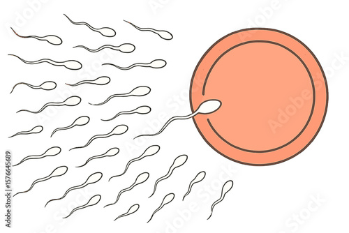 Fertilization of an egg by sperm. Spermatozoa swimming to ovum. Conception, insemination concept. Human reproduction, pregnancy, fertility. Medical, biology vector. Winner.