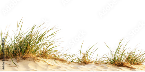 Green grass growing on sand on transparent png photo