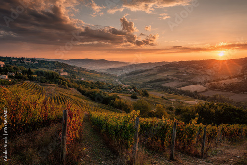 breathtaking sunsets captured across  different countries showcasing stunning vineyard landscapes