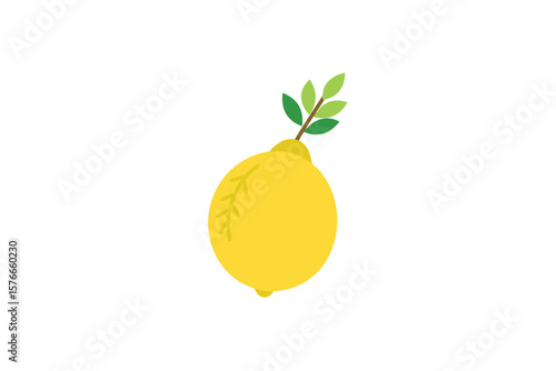 Etrog Fruit With Lulav Branch Flat Vector On White Background