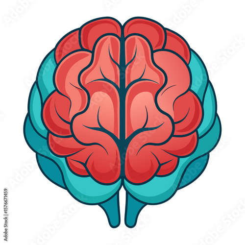 human brain vector illustration
