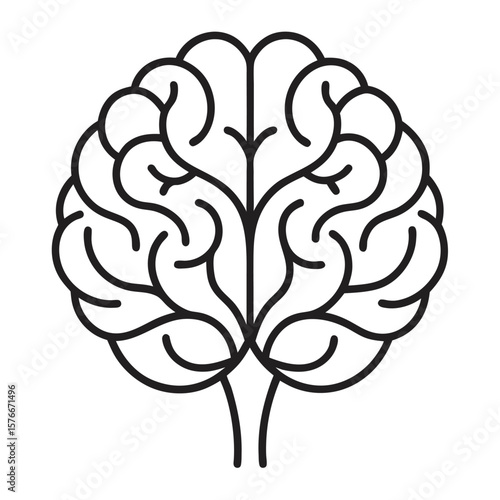  Human brain