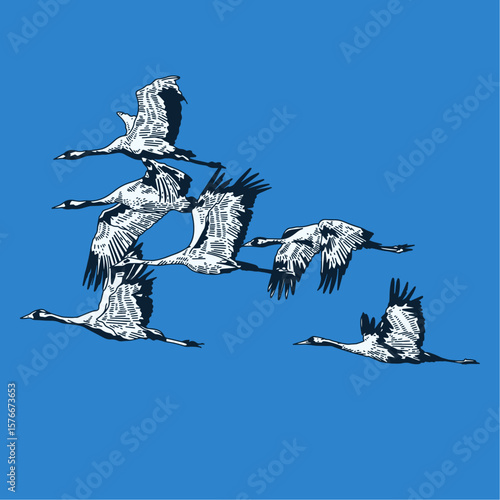 Flying Crane Flock Vector Illustration