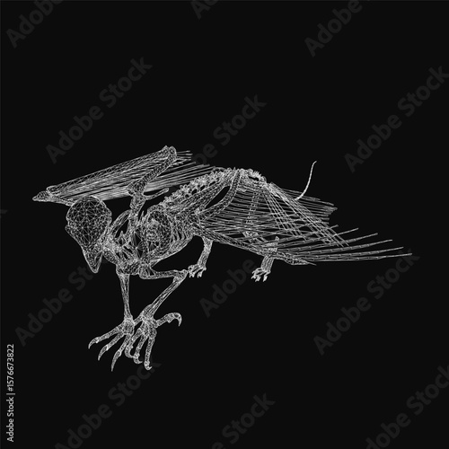 A black and white wireframe bird skeleton is depicted with intricate detail, wings spread wide and beak open mid-flight. The feathers are meticulously drawn.