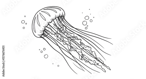black and white jellyfish swimming underwater clip art preview