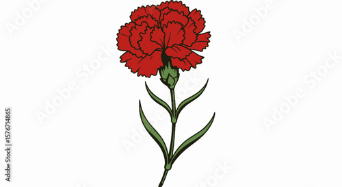 Red carnation flower with green stem and leaves, Vector illustration of a red carnation flower with ruffled petals, a green stem, and three leaves, featuring a bold and elegant design.