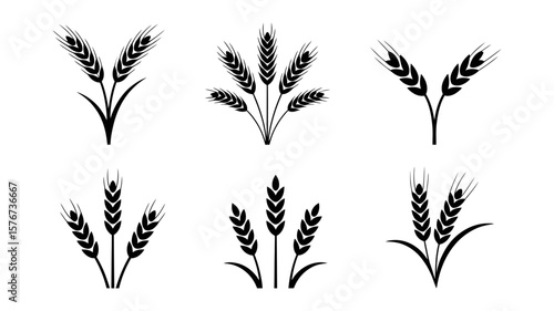 Collection of black wheat stalk icons on a whitebackground