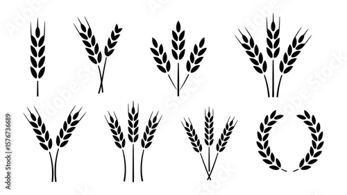 Collection of stylized black wheat ears and a laurel wreath on a White background