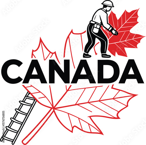 canada worker picking leaf with ladder illustration