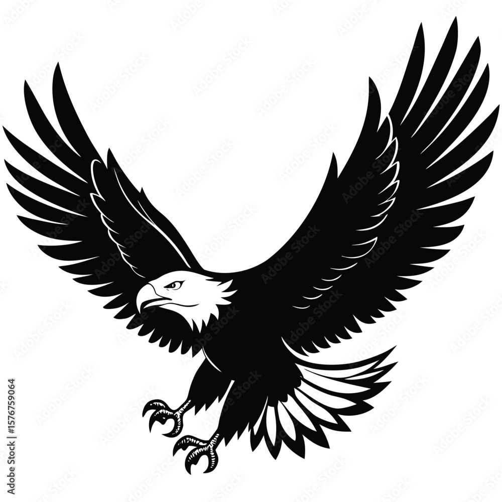 Obraz premium Black eagle wings spread wide bird flying