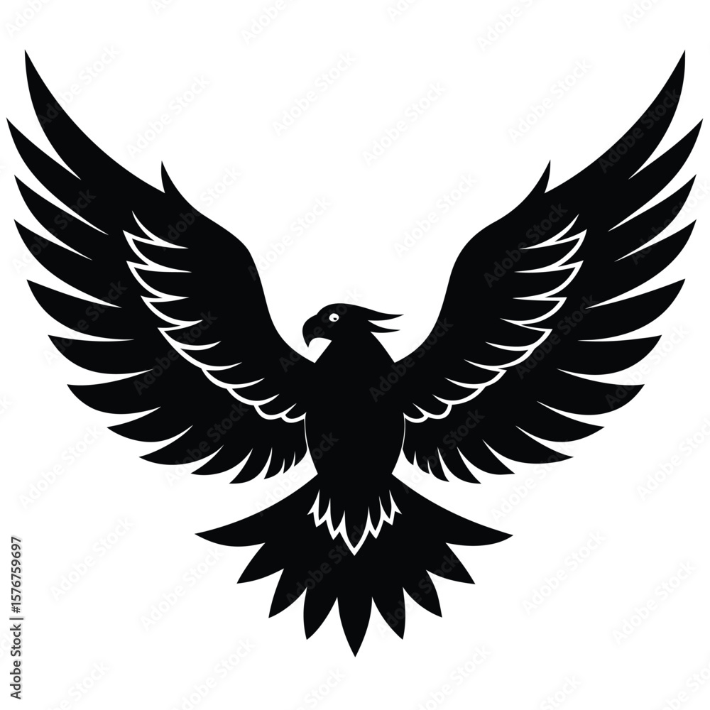Obraz premium Majestic eagle spread wings soaring bird black