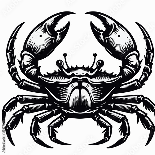 Minimalist Crab with Open Claws