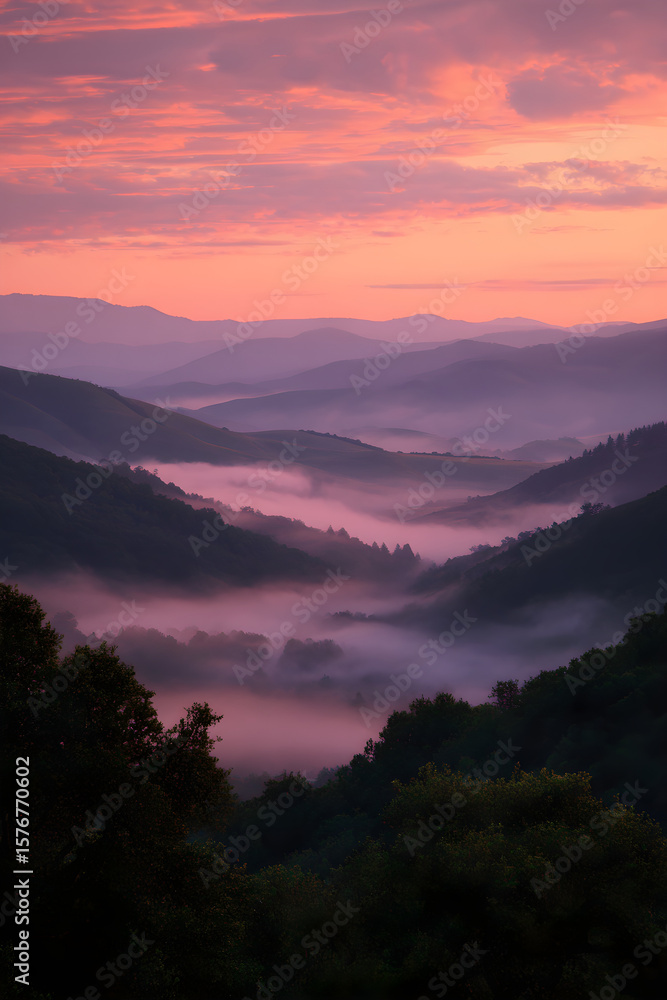 Golden Mourning: Dawn Awakens the Misty Valley in a Symphony of Pastel Elegance and Hushed Nature Golden Mourning: Dawn Awakens the Misty Valley in a Symphony of Pastel Elegance and Hushed Nature