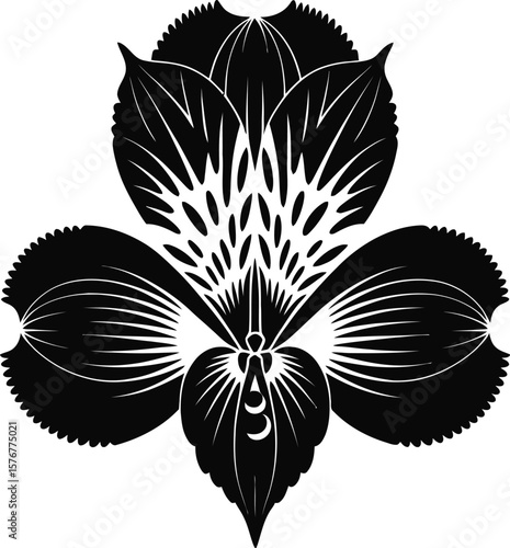 Black iris flower silhouette white
