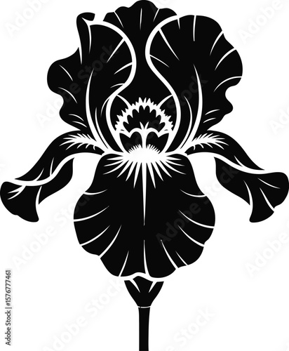Black iris floral silhouette flower white