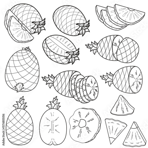 Hand-Drawn Pineapple Illustrations: Whole, Sliced, Leaves & Blossoms