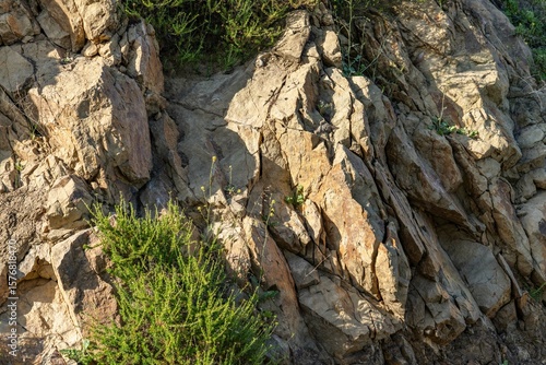 MIDDLE TOPANGA FORMATION AND VOLCANIC ROCKS / Dark gray sandstone of basaltic grains. top of Mount Hollywood Trail, Griffith Park, Los Angeles, California. Santa Monica Mountains.

