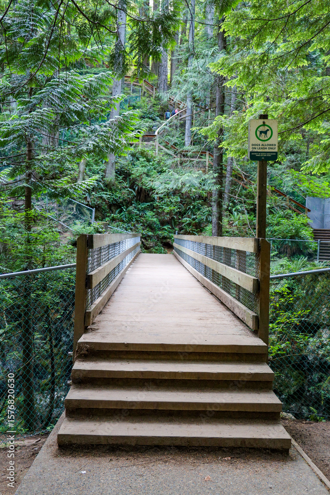 Fototapeta premium stairs and wood road in National Park
