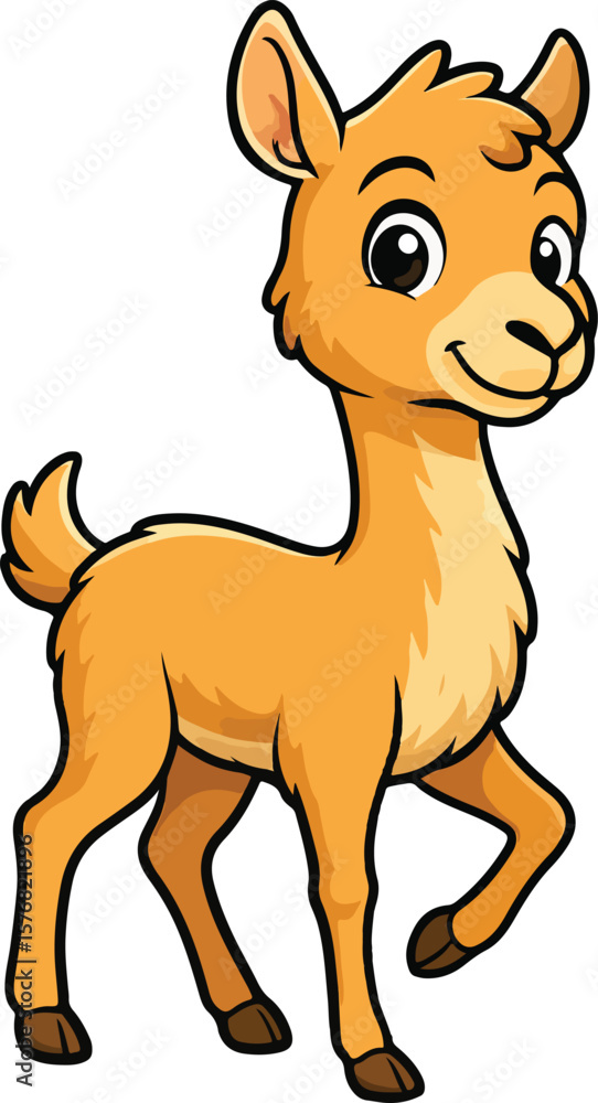 Fototapeta premium Cute Vicuna Standing