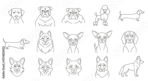 Line art illustrations of various dog breeds, showcasing different profiles and headshots.