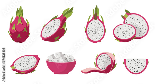 Dragon Fruit Collection: Fresh, Sliced, and Whole Vector Illustration