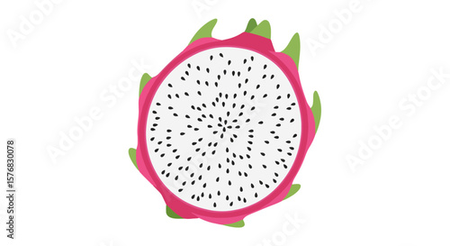 Dragon Fruit Slice: Tropical Exotic Fruit Illustration