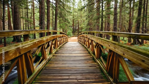 Serene wooden bridge over a tranquil stream in a lush green forest with towering trees