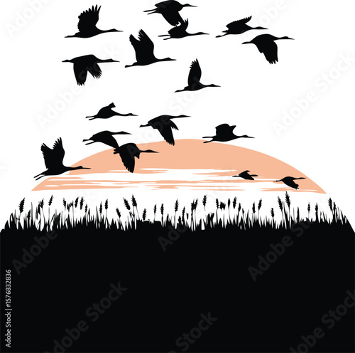 Silhouette of Birds Flying Over Field at Dawn, Dawn Scene with Birds in Flight Silhouette, Early Morning Birds Flying Above Countryside, Peaceful Field with Flying Birds Silhouette at Sunrise