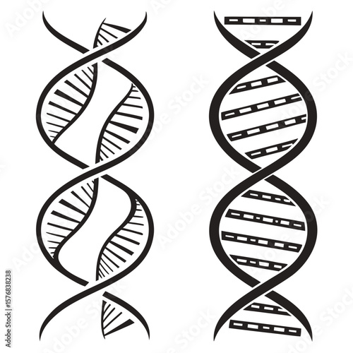 Abstract black D N A helix strands with internal patterns double helix science