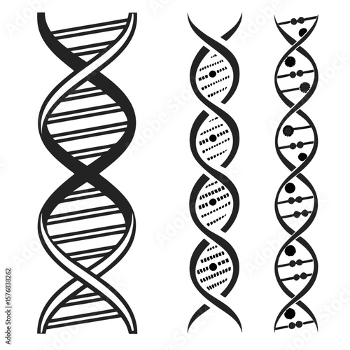Abstract D N A Strands Variations helix science