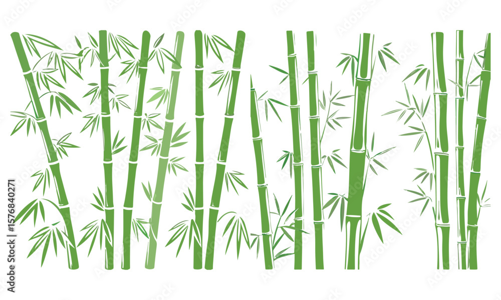 Obraz premium Tropical Bamboo Leaves Decoration Green