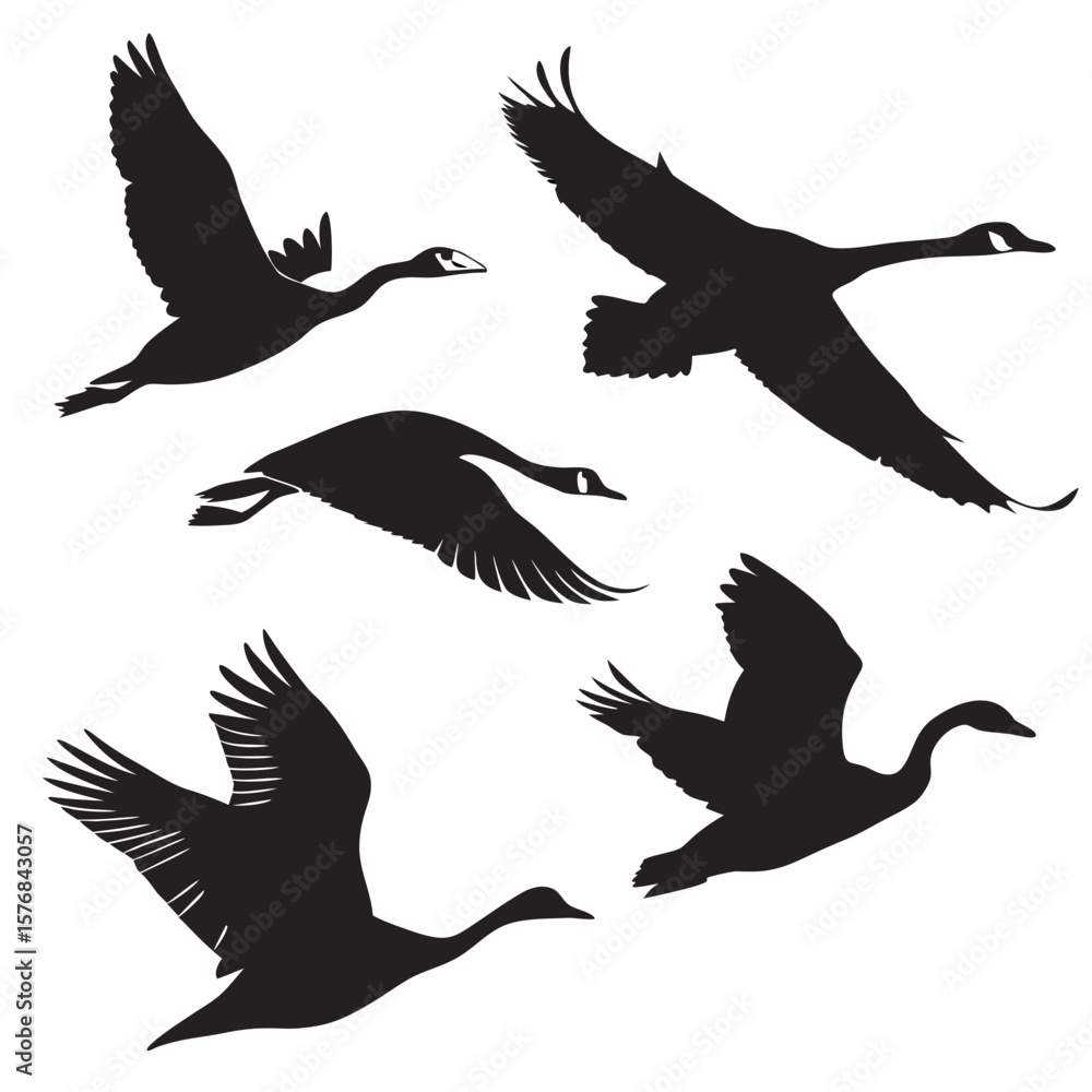 Obraz premium Five black silhouettes of geese and swans in flight birds flying