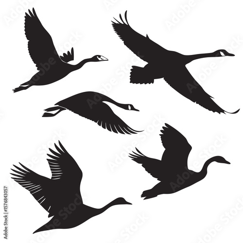Five black silhouettes of geese and swans in flight birds flying