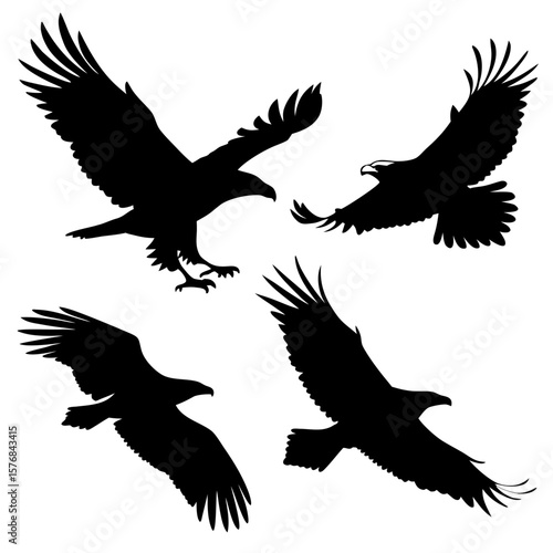 Four black eagle silhouettes in flight and diving eagles flying