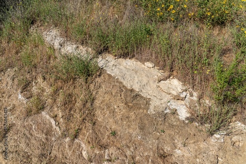 MIDDLE TOPANGA FORMATION AND VOLCANIC ROCKS / Dark gray sandstone of basaltic grains. top of Mount Hollywood Trail, Griffith Park, Los Angeles, California. Santa Monica Mountains.

